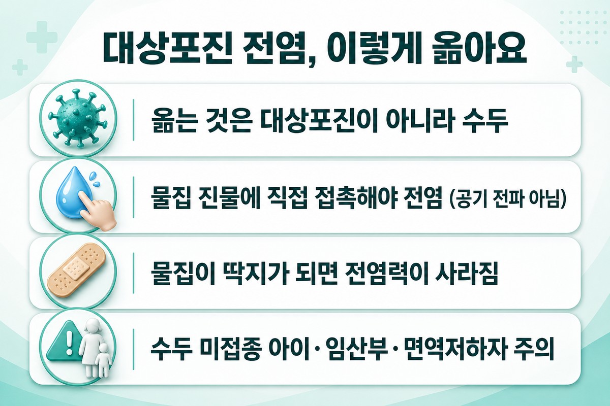 대상포진 전염 방식과 조심할 대상을 정리한 한글 인포그래픽