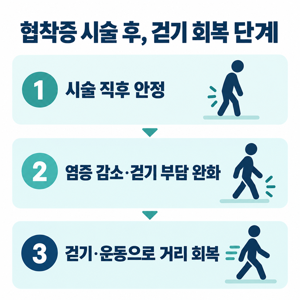 척추관협착증 시술 후 걷기 회복 단계를 정리한 안내 카드